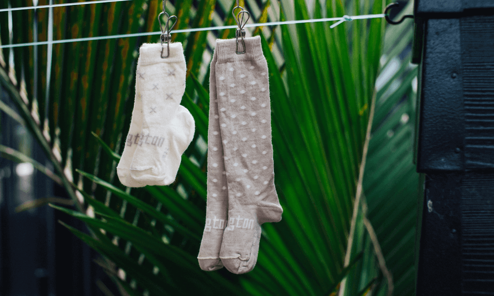  merino wool socks hanging on a line with green palm leaves in the background.