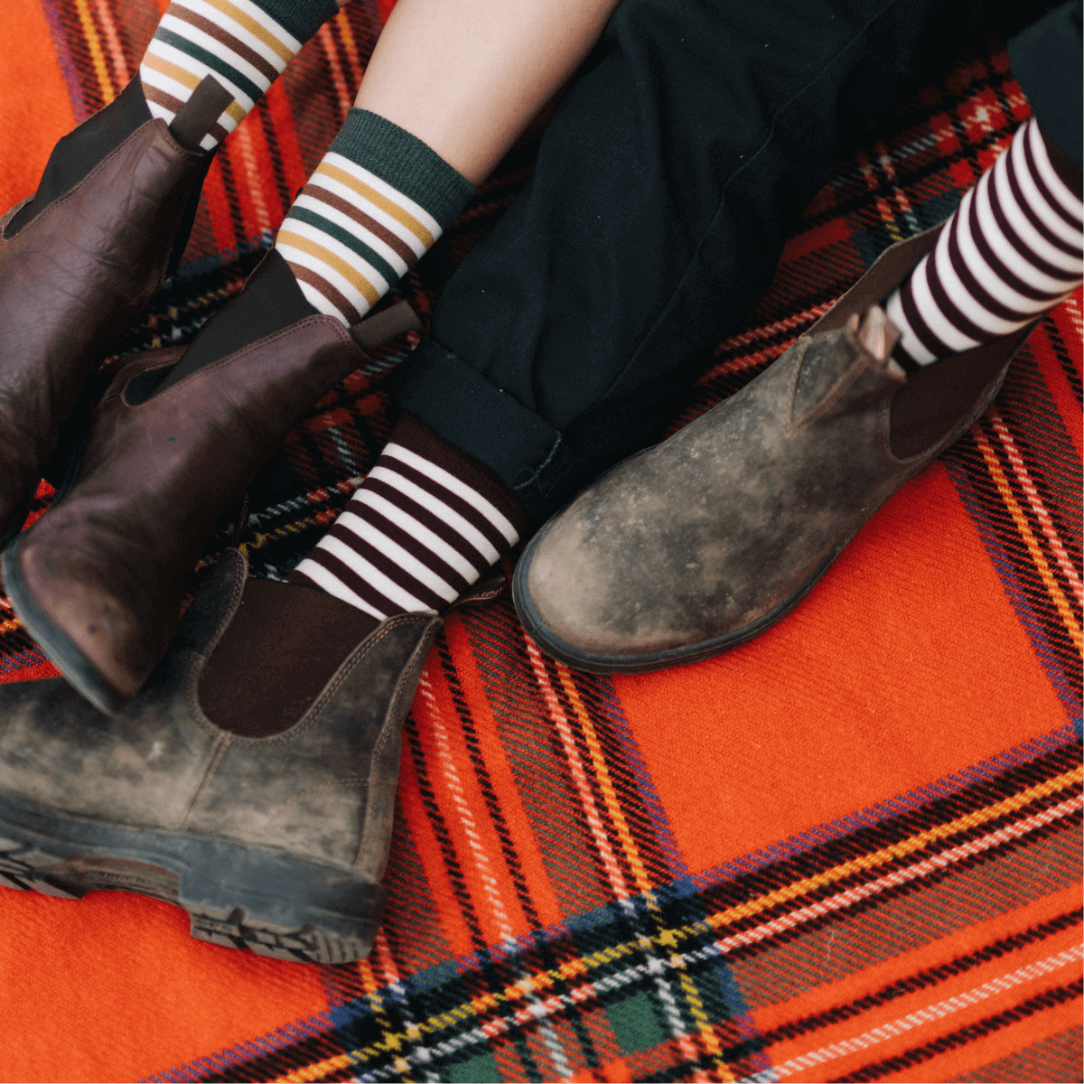 mens merino wool crew socks maroon and natural striped AU