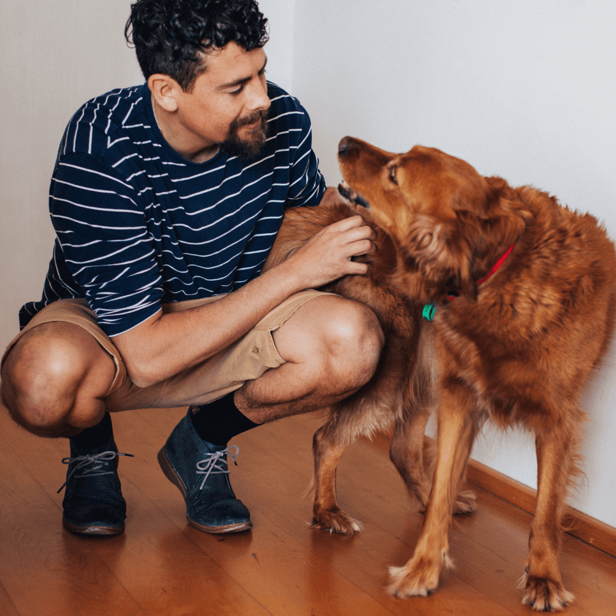 man wearing black merino wool crew socks aus