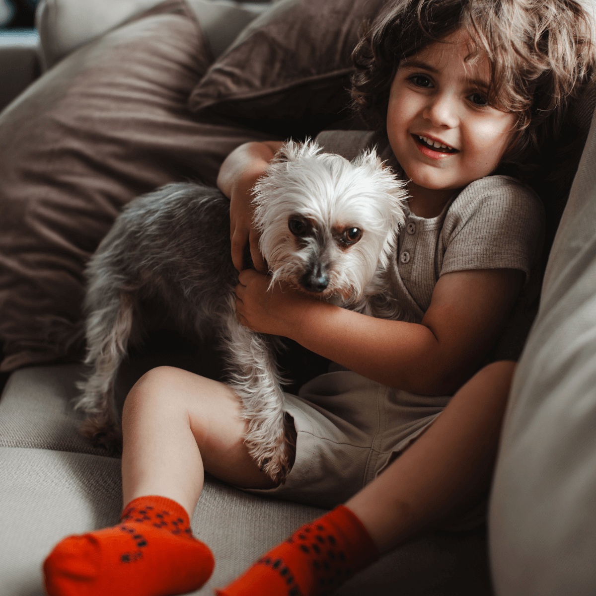 child wearing merino wool ankle socks child rust nz au
